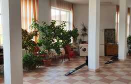 Casă de 570 mp, ideală pentru clinică sau grădiniță