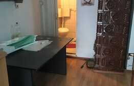 Apartament de 30 de mp utili cu o camera la casa in zona ultracentrala!