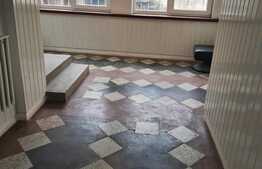 Casa de 286 mp utili si 450 de mp de teren ideala pentru investitie in zona Rogerius