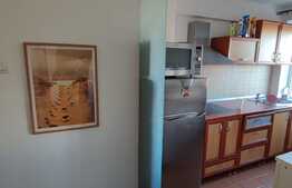 Apartament de 2 camere, in zona Centrala, aproape de Facultatea de Medicina!