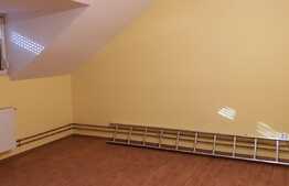 Casa de 207 mp utili în Nufărul, ideal pentru clinică sau locuință