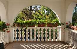 Casa de 207 mp utili în Nufărul, ideal pentru clinică sau locuință