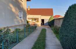 Casa de 207 mp utili în Nufărul, ideal pentru clinică sau locuință