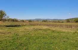 Casă de 160 mp utili, rezidential sau spațiu comercial, la 25 km de Oradea