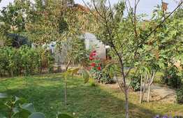 Casă 160 mp utili, 4 dormitoare, 588 mp teren, Oncea!