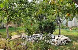 Casă 160 mp utili, 4 dormitoare, 588 mp teren, Oncea!