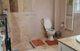 Casă 160 mp utili, 4 dormitoare, 588 mp teren, Oncea!