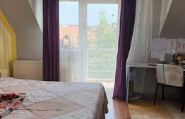 Casă 160 mp utili, 4 dormitoare, 588 mp teren, Oncea!