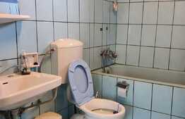 Casă de 3 camere în Ioșia singur în curte