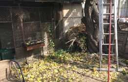 Casa de 156 de mp si teren de 210 mp in zona Parcului Olosig!