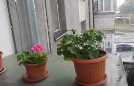 Apartament 2 camere, 34 mp, etaj 3, zona Rogerius