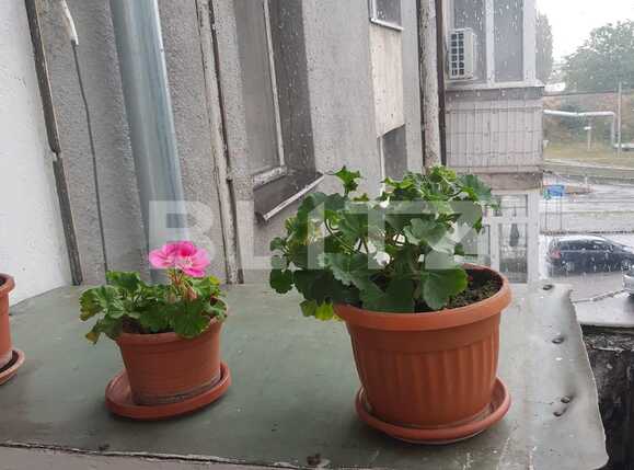 Apartament de vânzare 2 camere Rogerius - 73144AV | BLITZ Oradea | Poza11