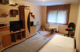 Apartament de inchiriat cu 2 camere, zona Bd. Dacia! 