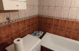 Apartament de inchiriat cu 2 camere, zona Bd. Dacia! 