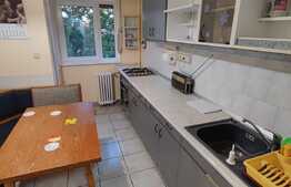 Apartament cu 2 camere de inchiriat, in zona Onestilor ! 