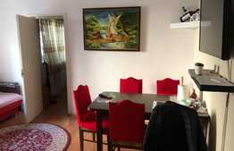 Apartament de 3 camere, semidecomandat, 47 mp, zona Rogerius
