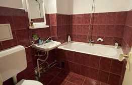 Garsoniera tip D, spatioasa si luminoasa, 31 mp, zona usor accesibila, Rogerius 