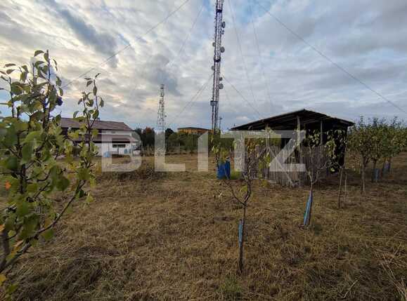 Teren de vânzare Dealuri Oradea - 73806TV | BLITZ Oradea | Poza4