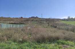 Teren intravilan, 1316 mp, Saldabagiu de Munte