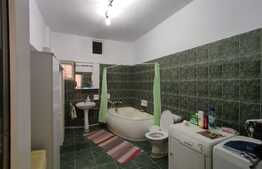 Casa individuala, cu etaj, 240 mp utili, 350 mp teren, zona Dacia