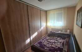 Garsoniera cocheta, 26mp, zona Rogerius