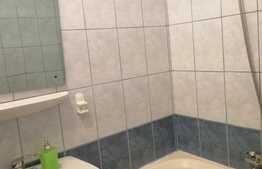 Garsonieră, 27 mp, etajul intermediar, zona Rogerius