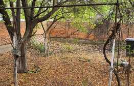 Casă de 3 camere cu dublu front în Ioșia