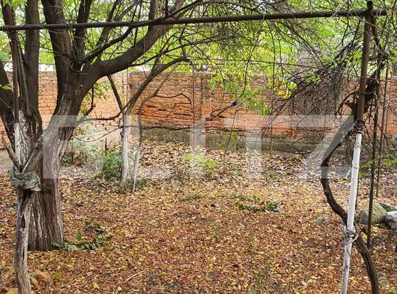 Casa de vânzare 3 camere Iosia - 74098CV | BLITZ Oradea | Poza4