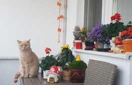 Apartament 4 camere, 101 mp, mobilat, zona Rogerius