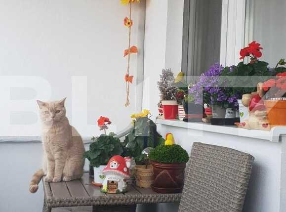 Apartament de vânzare 4 camere Rogerius - 74099AV | BLITZ Oradea | Poza3