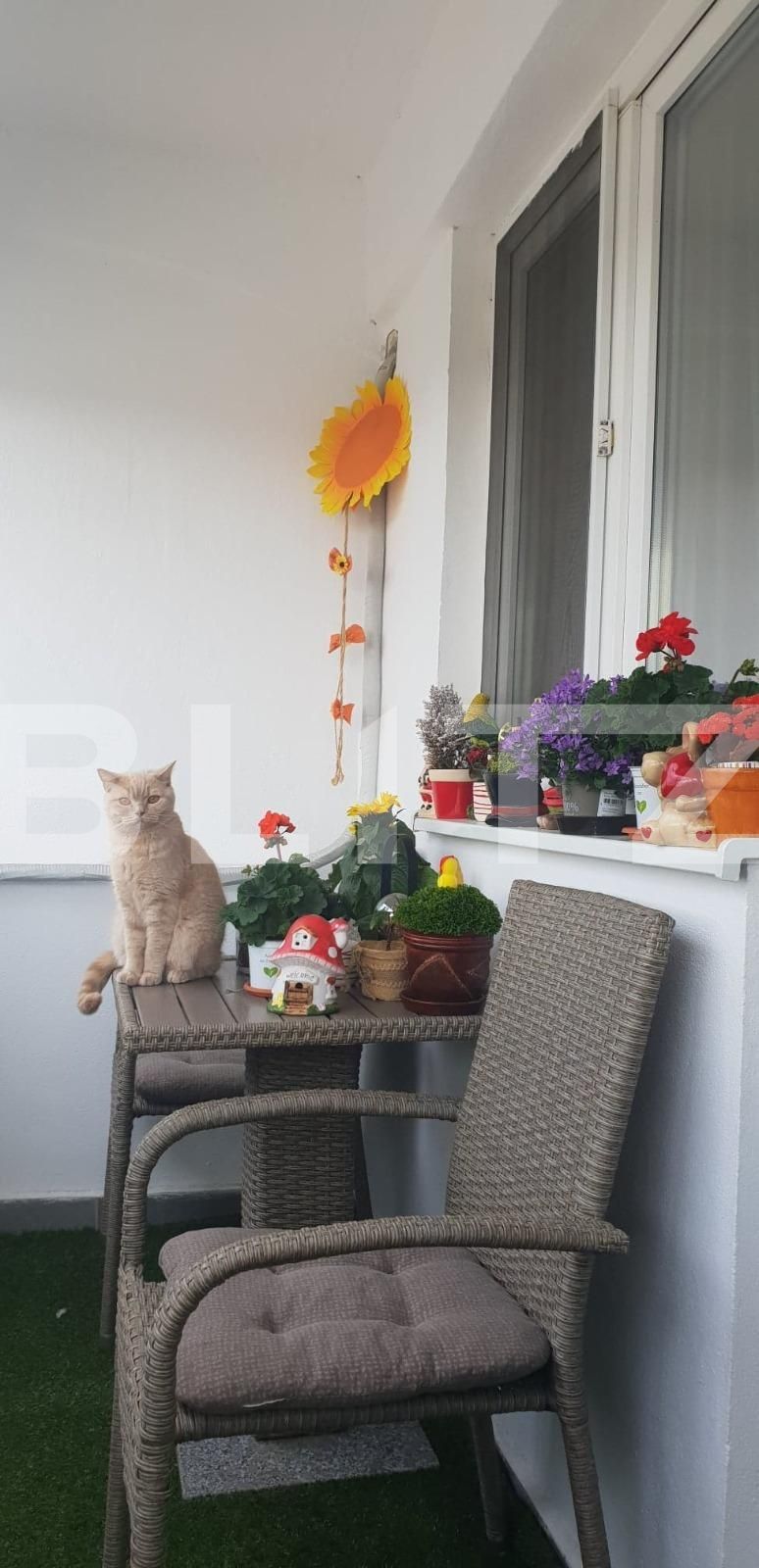 Apartament de vânzare 4 camere Rogerius - 74099AV | BLITZ Oradea | Poza3