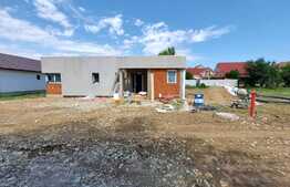 Casa pe un nivel, 111 mp, 530 mp, Osorhei