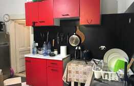 Oportunitate Blitz! Apartament la curte de 98 mp utili si teren de 189 de mp in zona Horea!