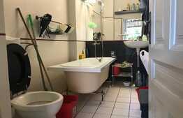 Oportunitate Blitz! Apartament la curte de 98 mp utili si teren de 189 de mp in zona Horea!