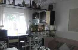 Apartament 2 camere, 44 mp, parter, zona Decebal