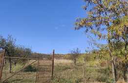 Teren intravilan, 7913 mp, zona Facliei