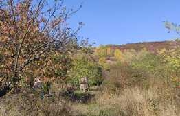 Teren intravilan, 7913 mp, zona Facliei