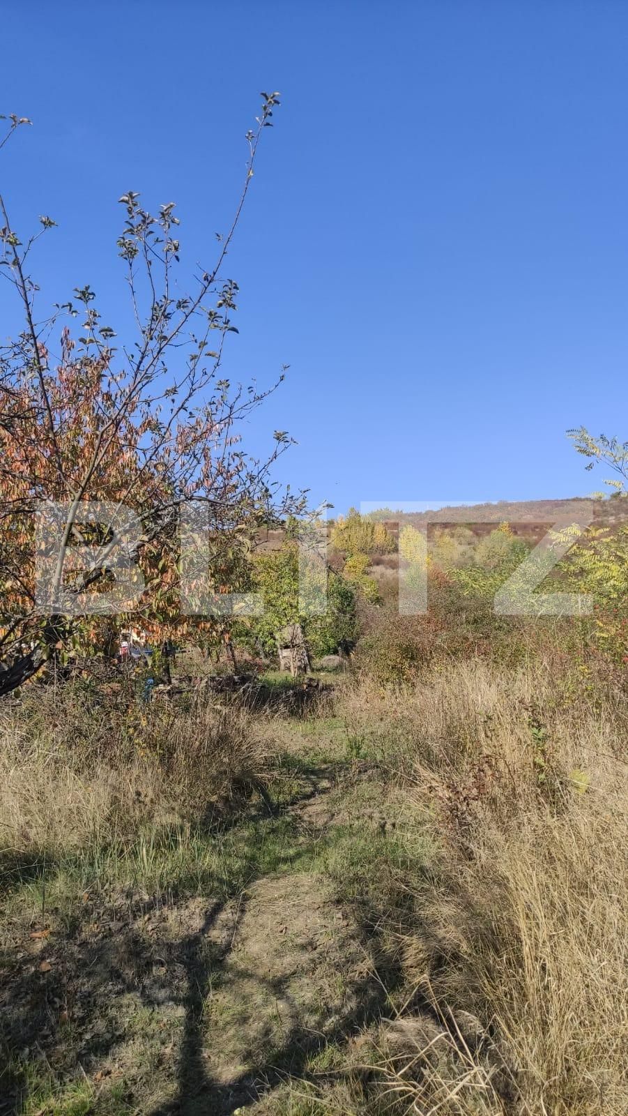 Teren de vânzare Dealuri Oradea - 74316TV | BLITZ Oradea | Poza2