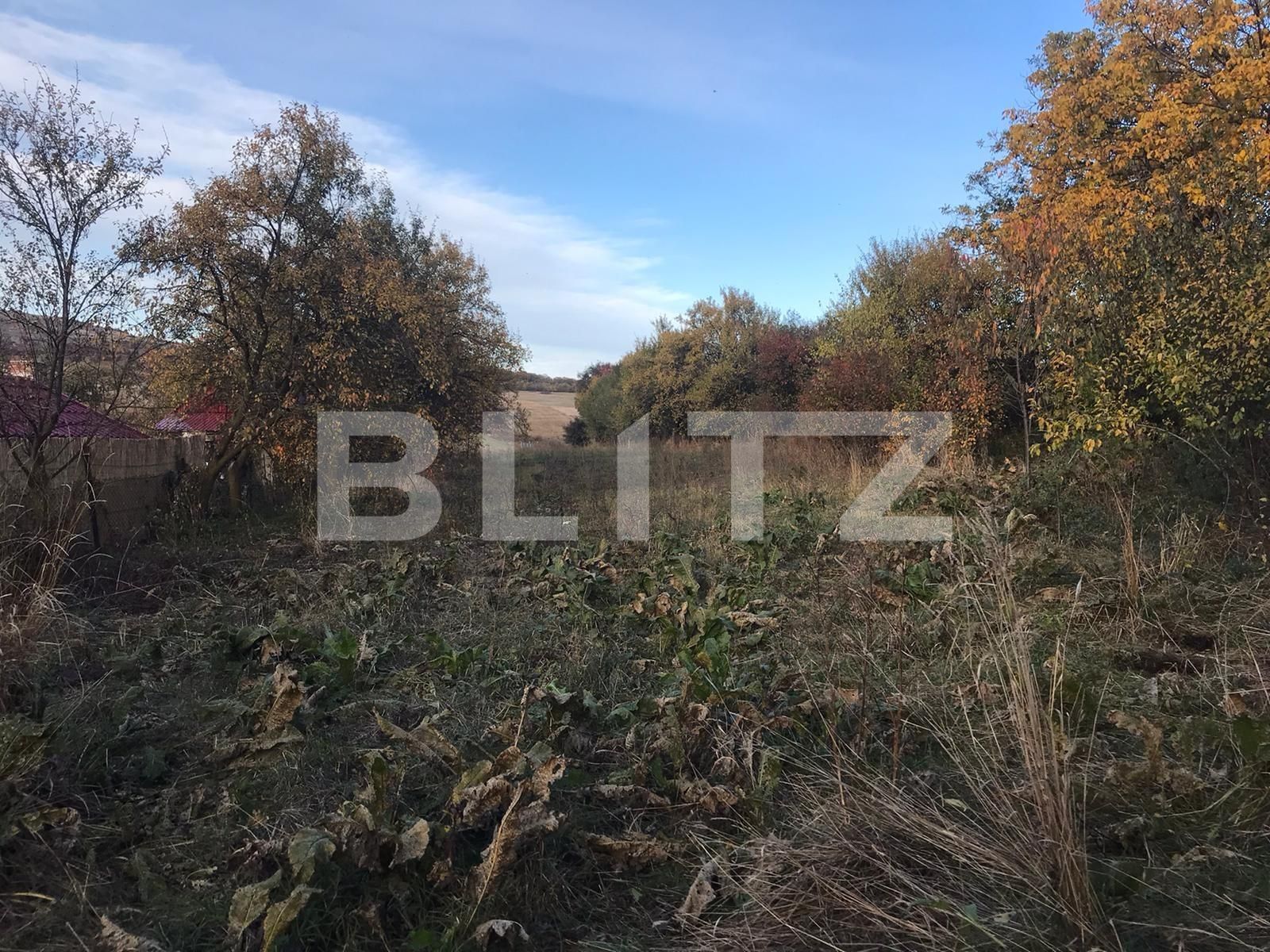 Teren de vânzare Exterior Sud - 74323TV | BLITZ Oradea | Poza4