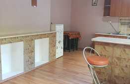 Apartament 2 camere, 42 mp, parter, zona Decebal