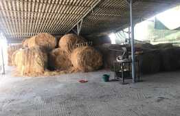 Domeniu exclusivist, 120 mp, teren 52.587 mp, Exterior Est