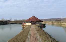 Domeniu exclusivist, 120 mp, teren 52.587 mp, Exterior Est