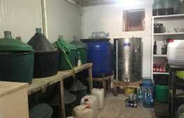 Domeniu exclusivist, 120 mp, teren 52.587 mp, Exterior Est