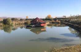 Domeniu exclusivist, 120 mp, teren 52.587 mp, Exterior Est