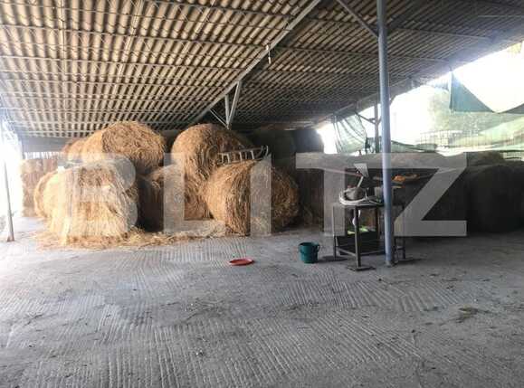 Casa de vânzare 3 camere Fughiu - 74664CV | BLITZ Oradea | Poza12