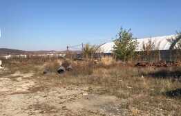 Oportunitate Blitz! Teren de 4091 de mp cu destinatie comerciala/industriala la 4 km de centura Oradiei!