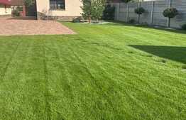 Oportunitate! Casa individuala, 179 mp util, 850 mp teren, Cihei