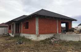 Casa la rosu, 118 mp utili, 483 mp teren, cartierul Grigorescu