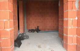 Casa la rosu, 118 mp utili, 483 mp teren, cartierul Grigorescu