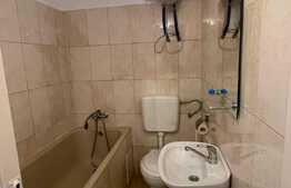 Apartament la casa de 2 camere, 52 mp, 111 mp teren, zona Ultracentrala